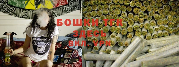 дживик Ладушкин