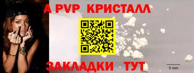 гидра Кандалакша