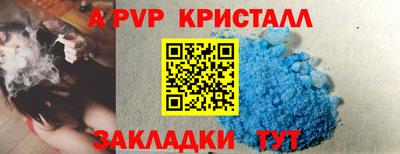 гидра Кандалакша