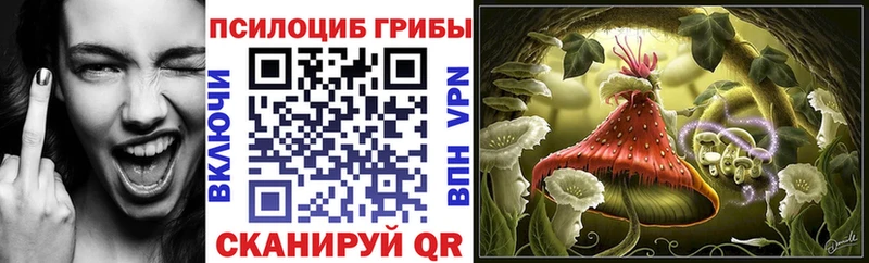 Галлюциногенные грибы мухоморы  где купить наркоту  Малгобек 