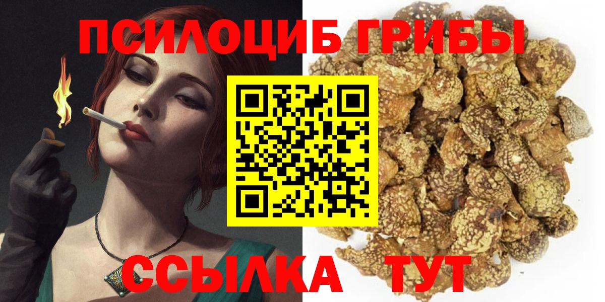 Псилоцибиновые грибы мицелий Малгобек