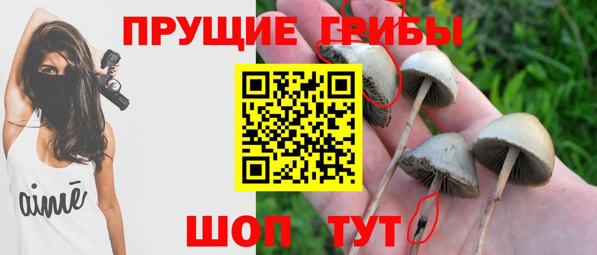Галлюциногенные грибы мухоморы  Вход с VPN  Малгобек  Псилоцибиновые грибы Psilocybine cubensis 
