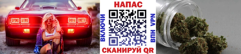 Шишки марихуана марихуана  мега как войти  Малгобек  наркотики 